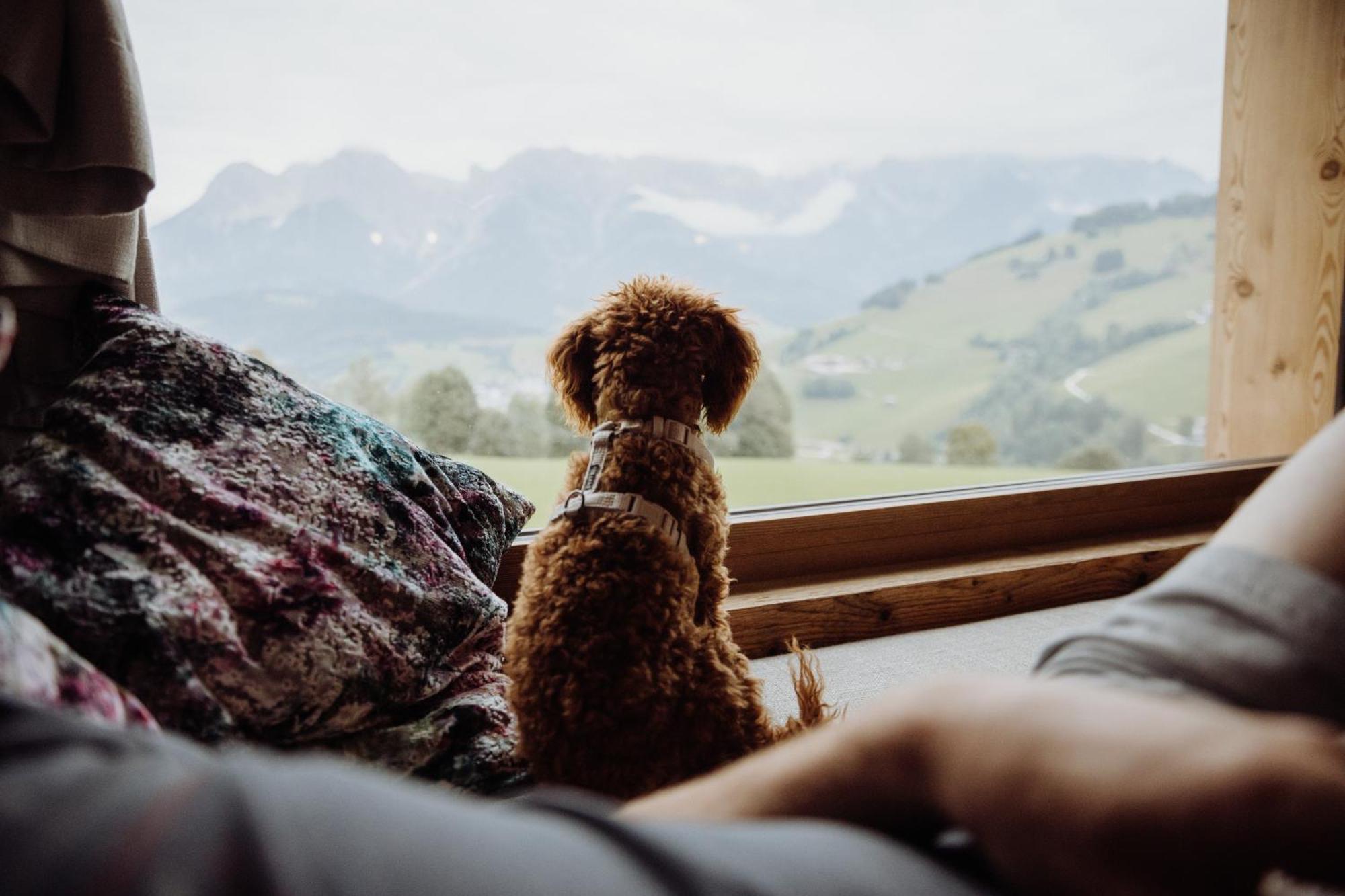 Biohof Ebengut Aparthotel Maria Alm am Steinernen Meer Kültér fotó