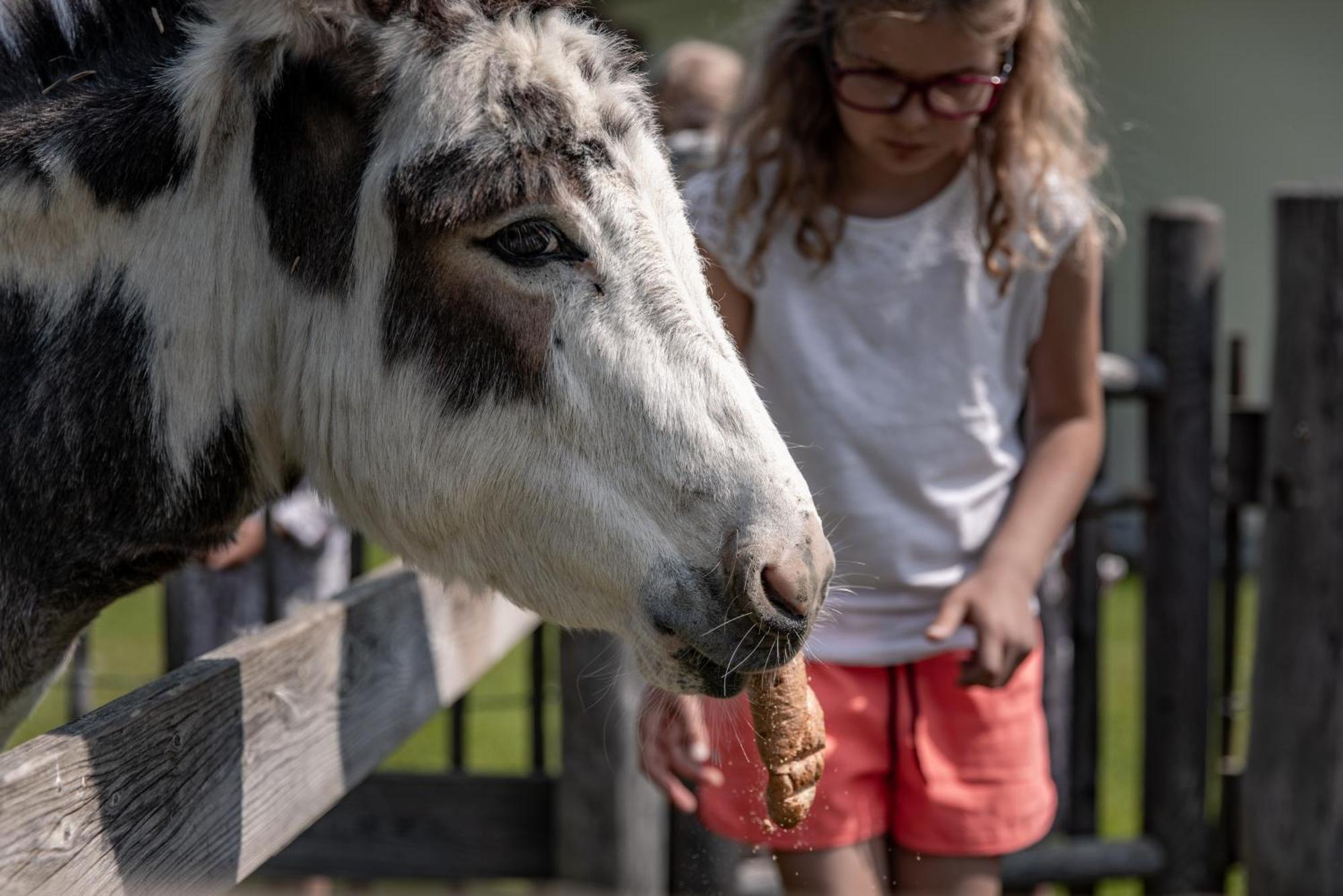 Biohof Ebengut Aparthotel Maria Alm am Steinernen Meer Kültér fotó